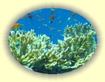 IMG_2007_05_27 18_34_39 * 2272 x 1704 * (467KB)